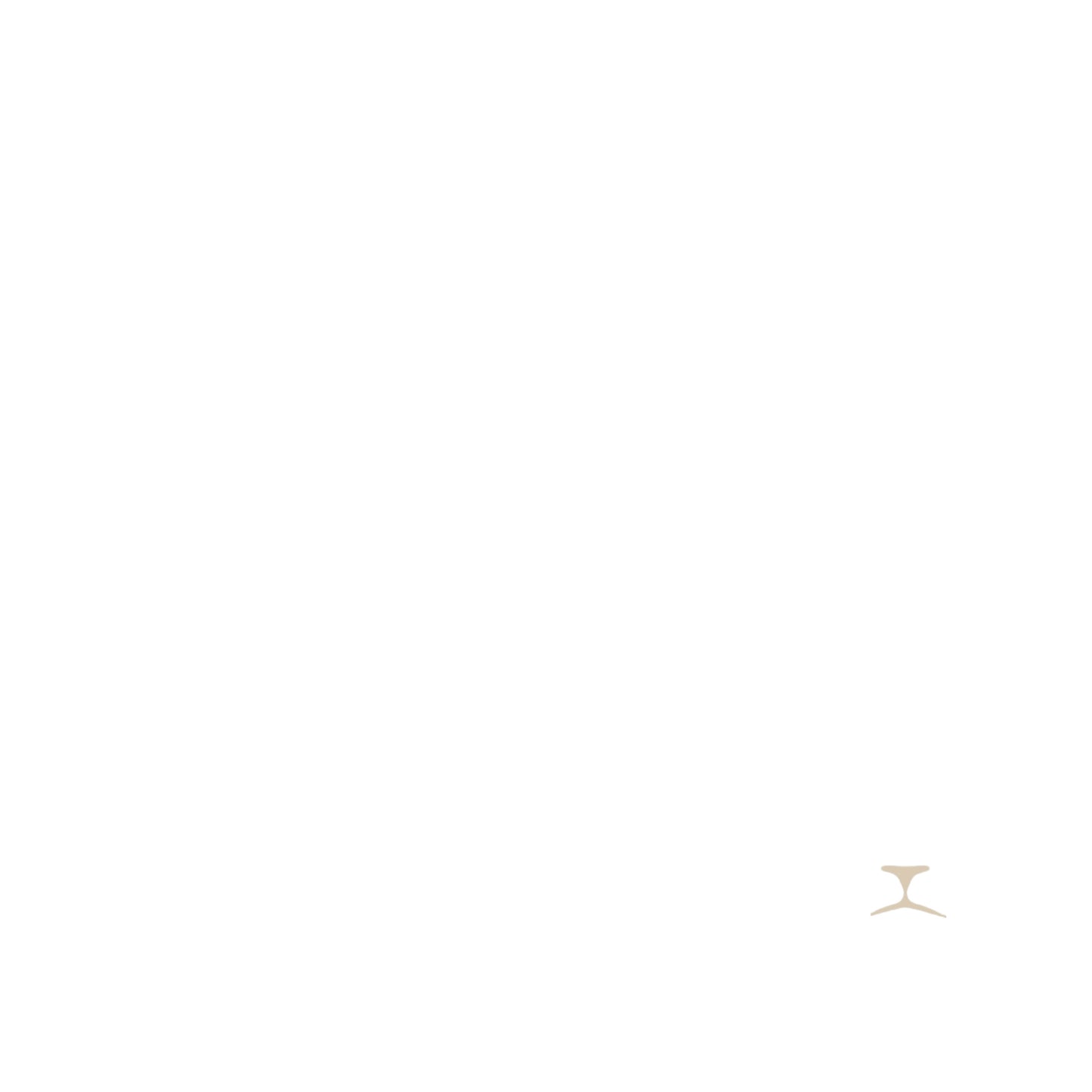 10K Yellow Gold Franco 3.3mm Bracelet