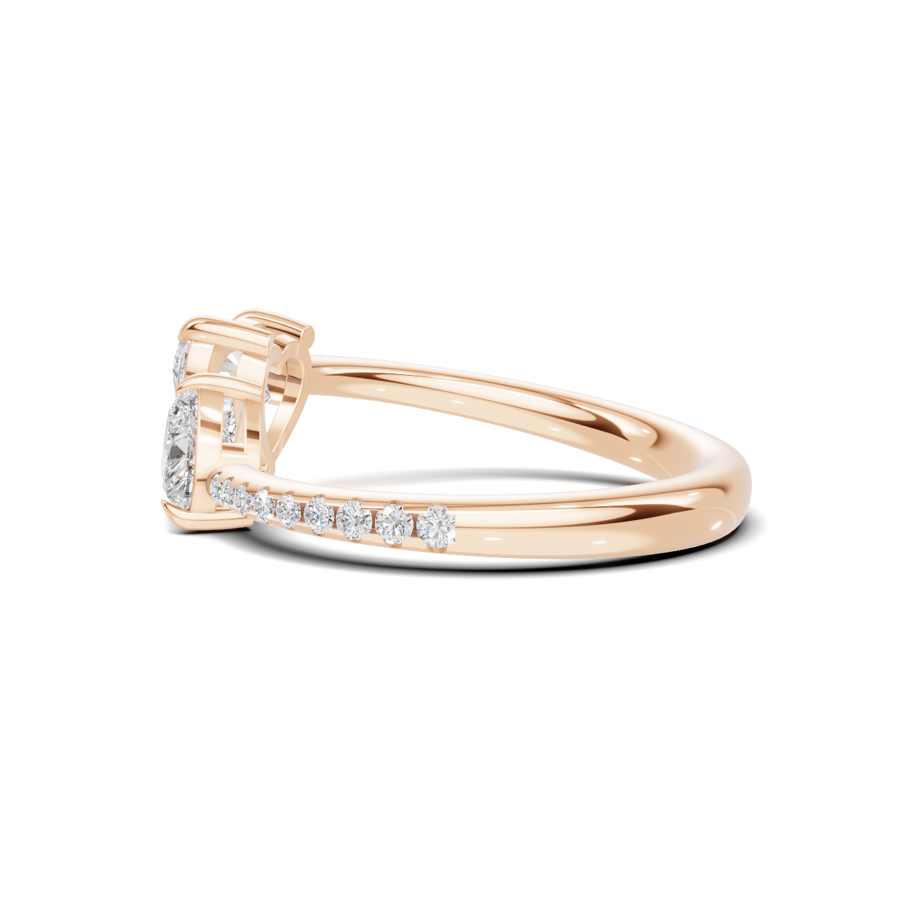 Dual Heart Bypass Ring
