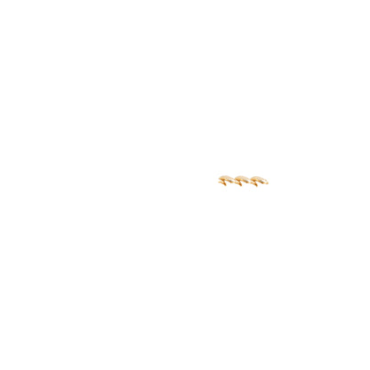 10K Yellow Gold Franco 3.9mm Bracelet