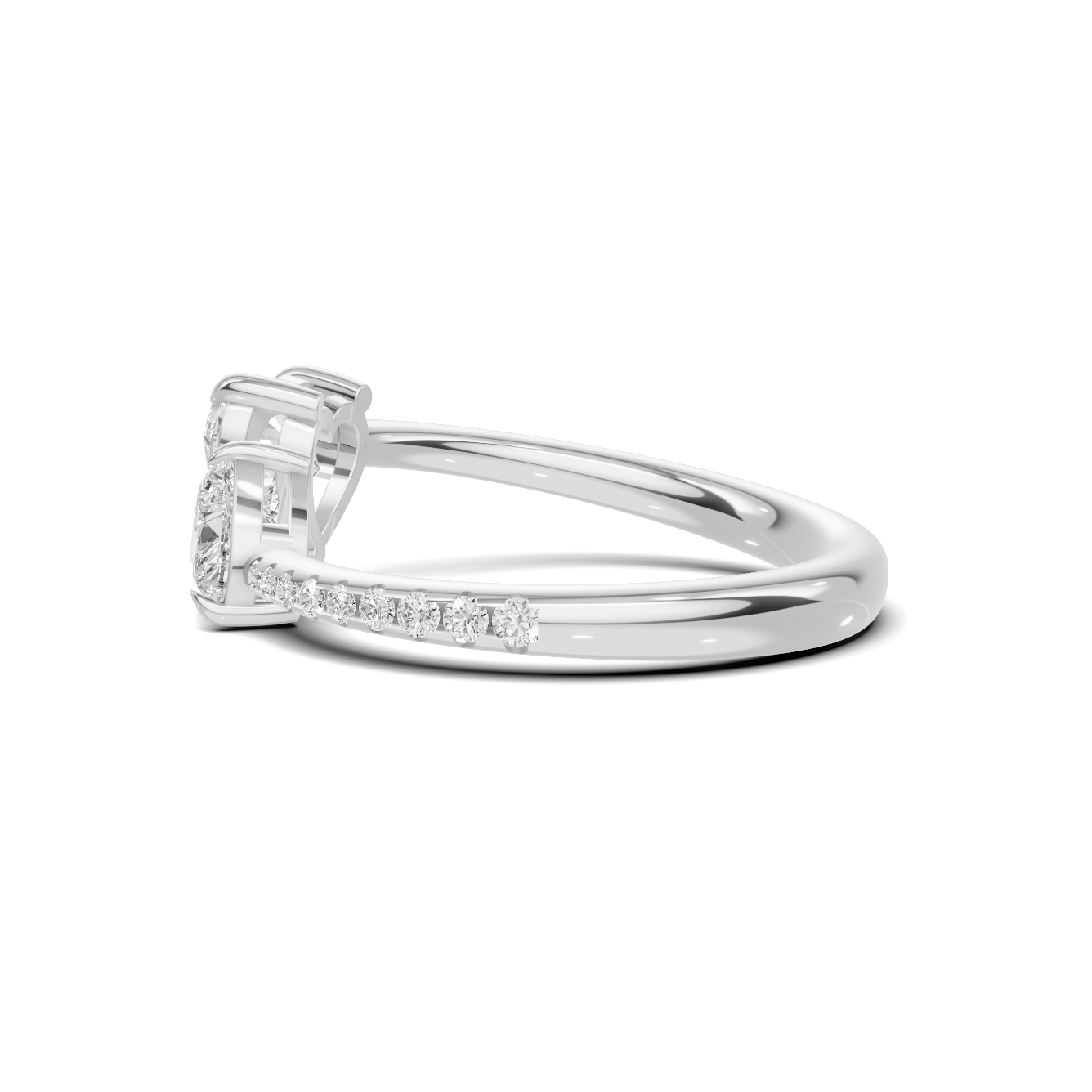 Dual Heart Bypass Ring