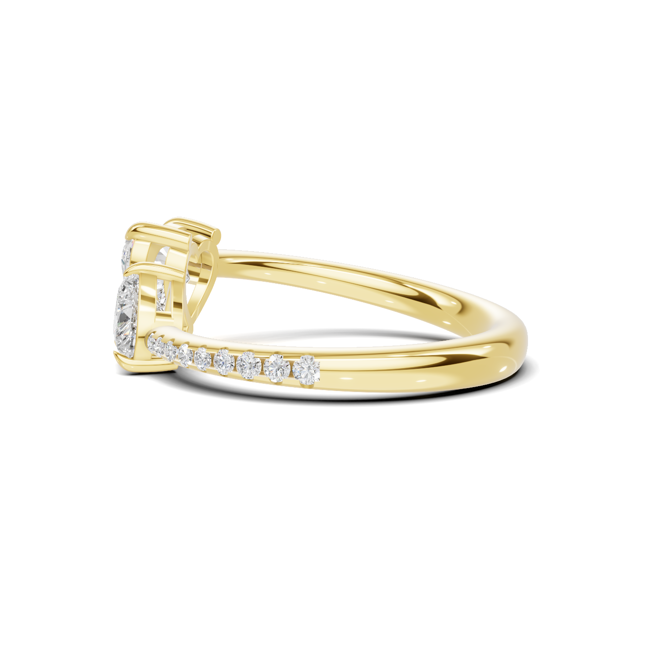 Dual Heart Bypass Ring