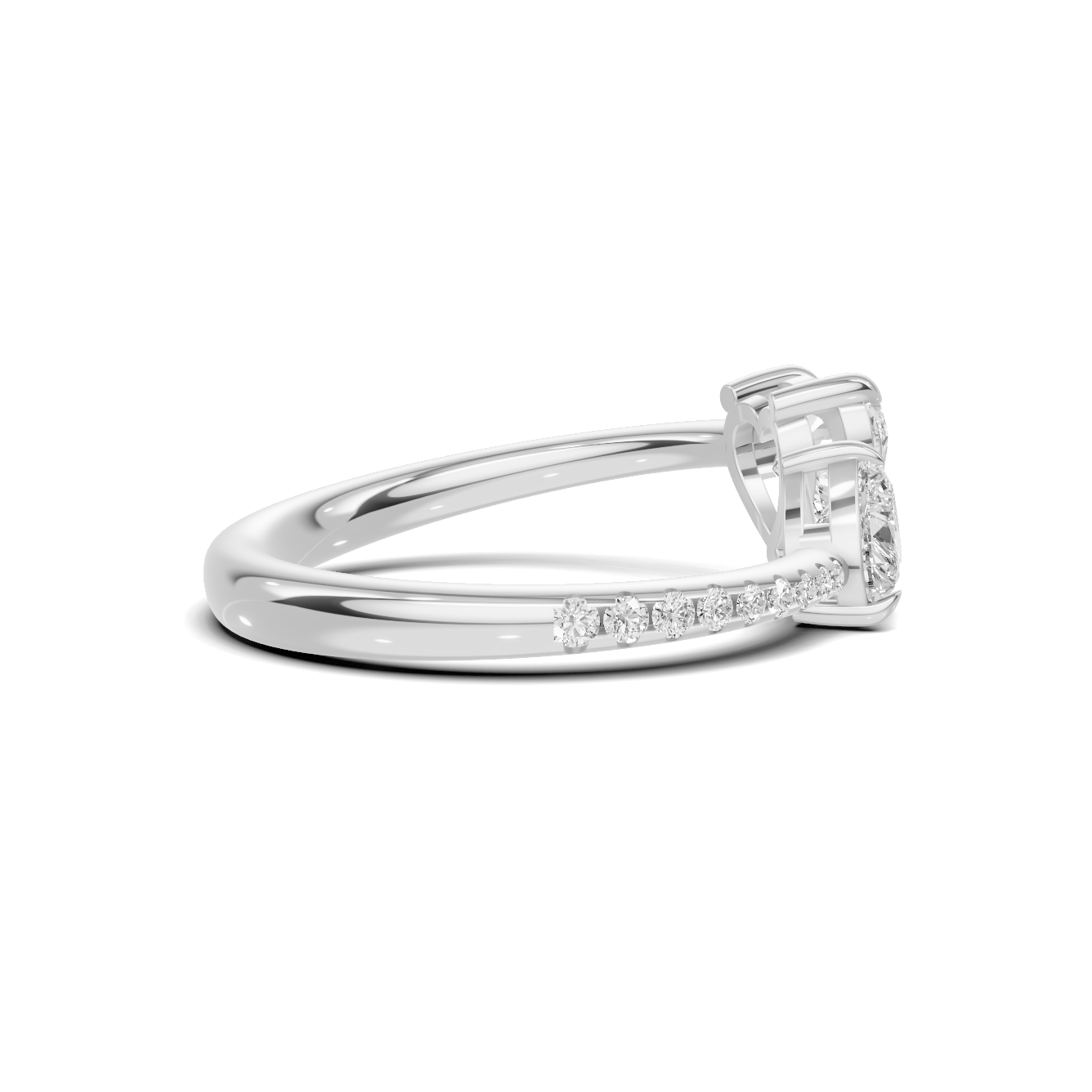 Dual Heart Bypass Ring