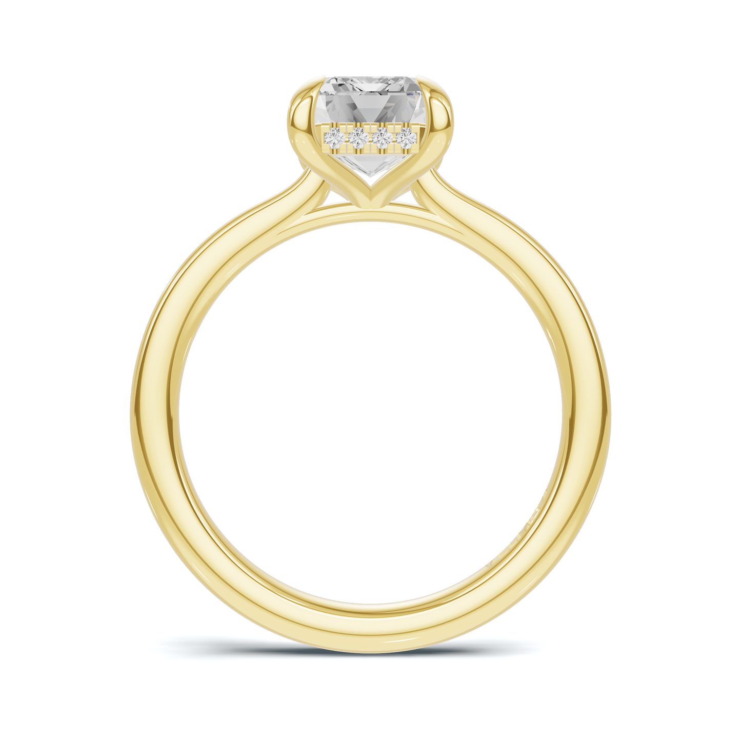 Hidden Halo Solitaire Ring