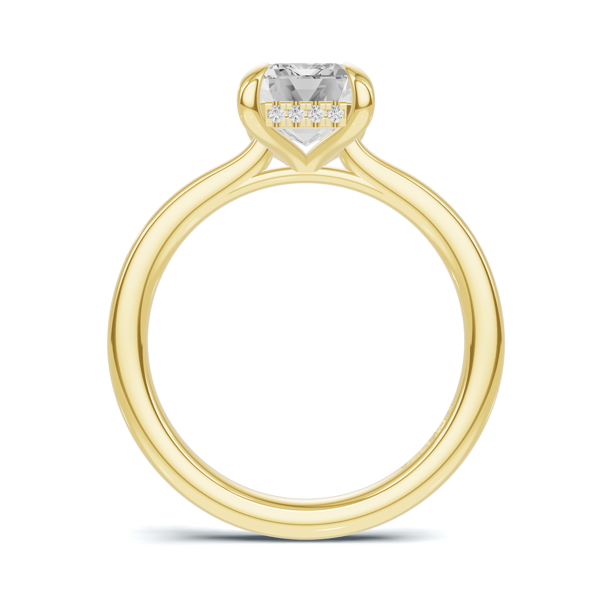 Hidden Halo Solitaire Ring