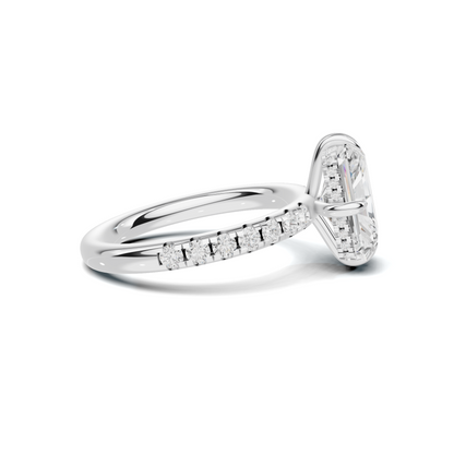 Pave Band Solitaire Ring