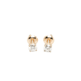 Women's Collections